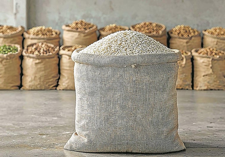 Hortalizas para Dubai en Etiopía y maíz para China en Angola