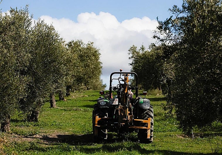 Alarma en el campo ante la tensión en Irán que amenaza con disparar los costes de producción