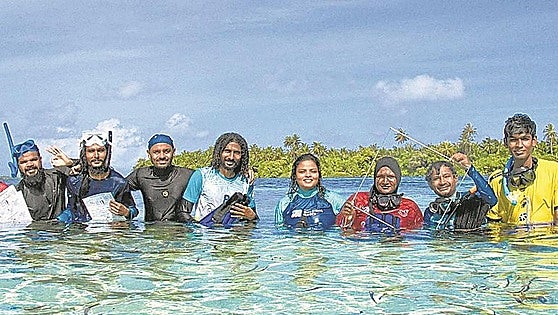 Sólo hay bañadores en 'Bikini Beach'