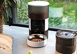 Los mejores comederos automáticos y dispensadores de pienso para tu mascota