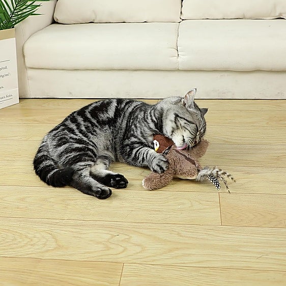 Acaba con el sedentarismo de tu gato con estos juguetes interactivos