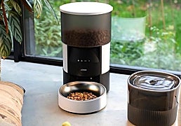 Los mejores comederos automáticos y dispensadores de pienso para tu mascota