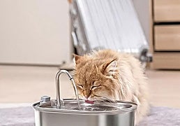No te pierdas estas fuentes para que el agua de tu gato esté siempre en perfectas condiciones
