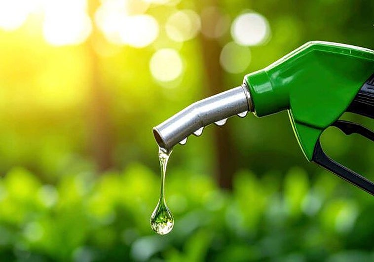 La ciencia confirma que los combustibles renovables no añaden CO₂ a la atmósfera