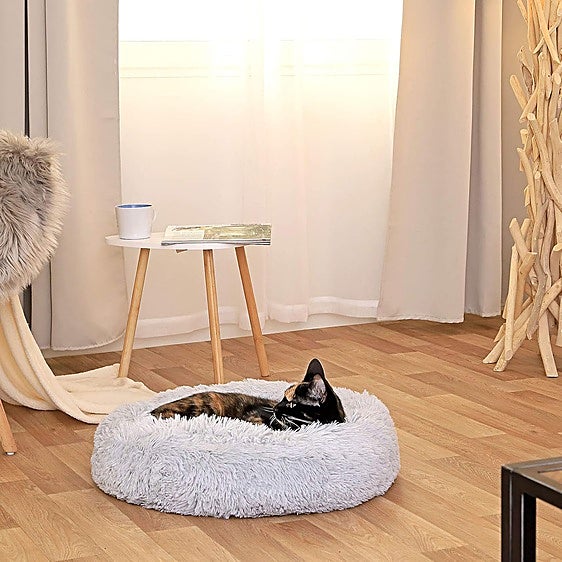 No te pierdas estas camas relajantes para mejorar el descanso de gatos y perros