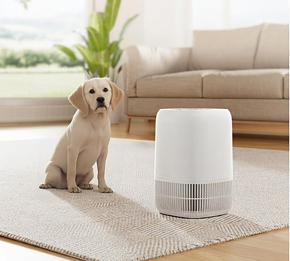 Respira mejor en casa con el purificador de aire AROEVE con filtro HEPA H13 y bajo consumo