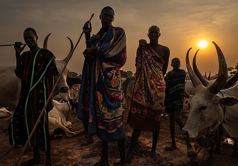 Niños que soplan la vagina de las vacas, duchas de orina y 50 reses por una novia