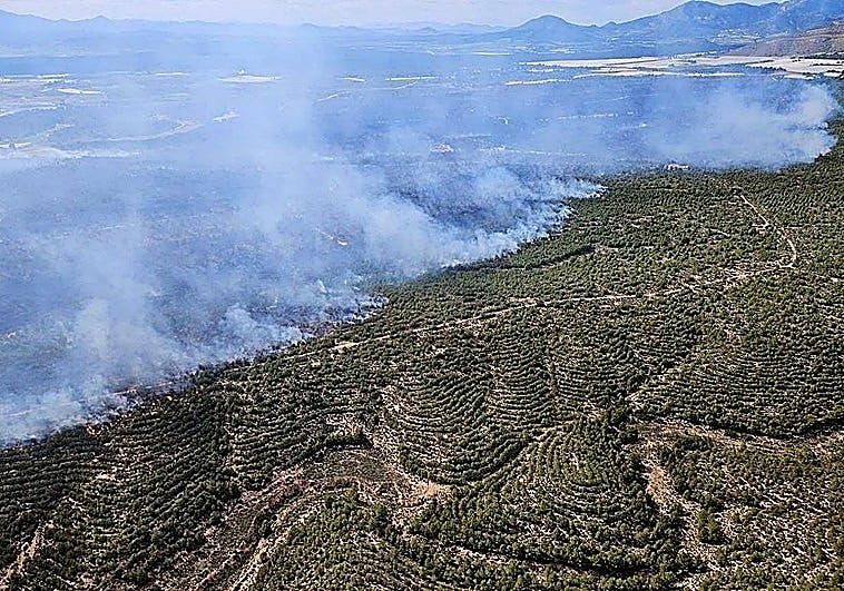 Un incendio calcina 400 hectáreas de monte bajo en Sierra Espuña, Murcia