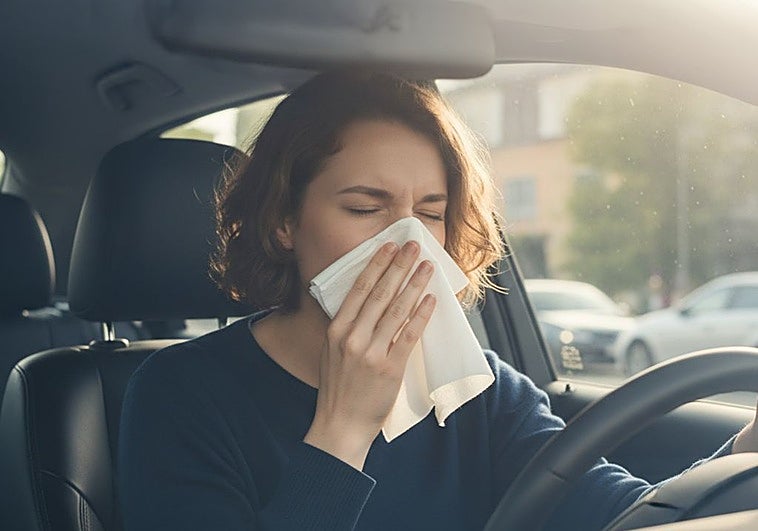 Comienzan las alergias: Vigila estos puntos a la hora de coger el coche