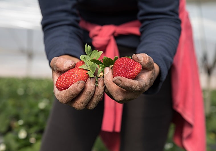 Al campo ya no le salen las cuentas