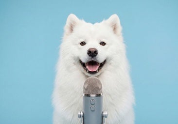 ¿Tiene tu perro algo que decirte? Cómo funcionan (y cómo no) los botones para «hacer hablar» a las mascotas