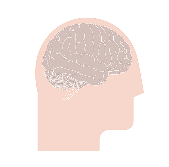 Esto es lo que sucede en el cerebro de un paciente con párkinson