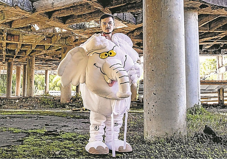 Un elefante se cuela en el Senado de Colombia