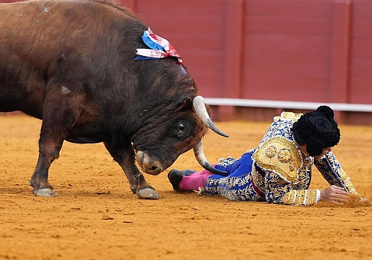 Morante de la Puebla evoluciona favorablemente