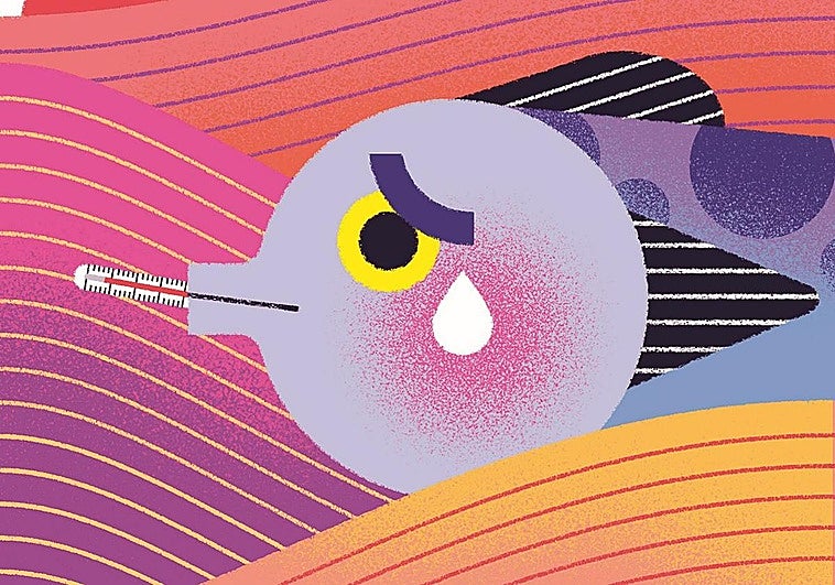 Los océanos del mundo y el clima