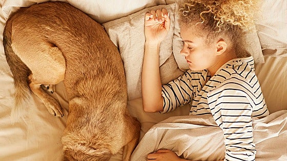 ¿Deberías dormir con tu perro? Cómo afecta al sueño... y por qué le gusta ponerse en la almohada