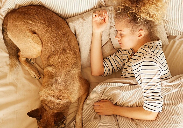 ¿Deberías dormir con tu perro? Cómo afecta al sueño... y por qué le gusta ponerse en la almohada