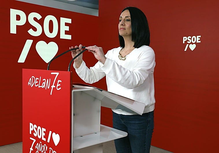 El PSOE pedirá amparo al Supremo por las «injurias» de Aldama