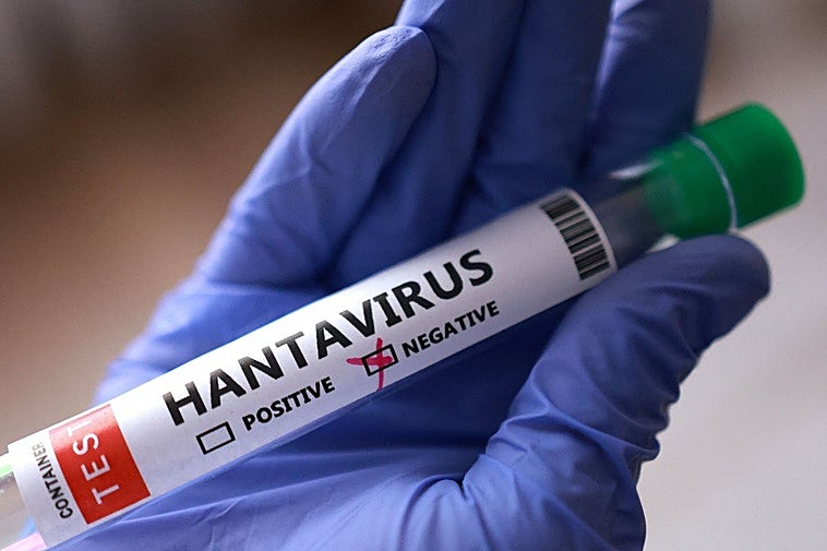 Las dos mujeres aisladas por contacto de hantavirus en Alicante y Barcelona dan negativo en las pruebas