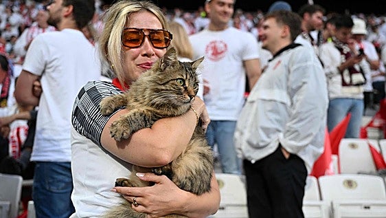 El 'dueño' de la final de la Europa League: un gato que vive en el estadio
