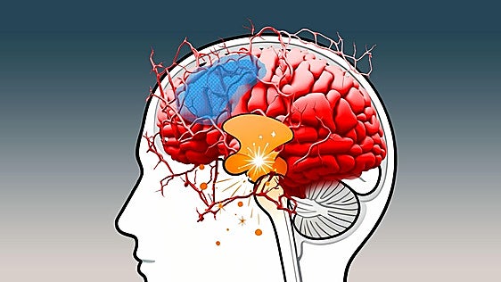 Así reconfigura la droga tu cerebro para que caigas