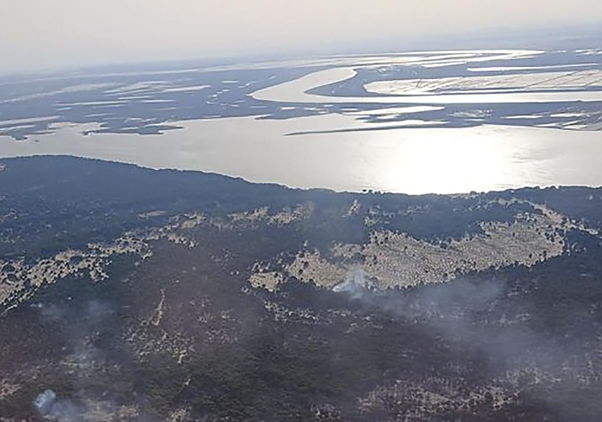 Un incendio en Doñana arrasa más de 300 hectáreas y obliga a desplegar un amplio operativo