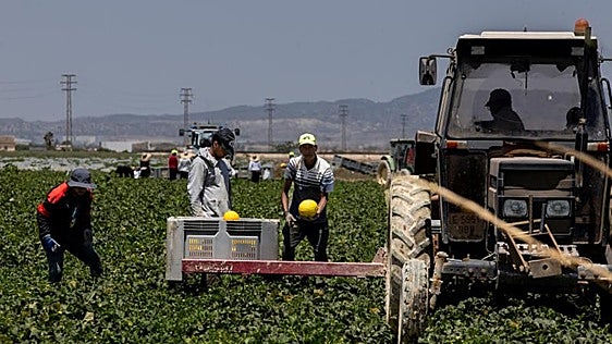 La regularización de inmigrantes apenas tendrá impacto en la economía española
