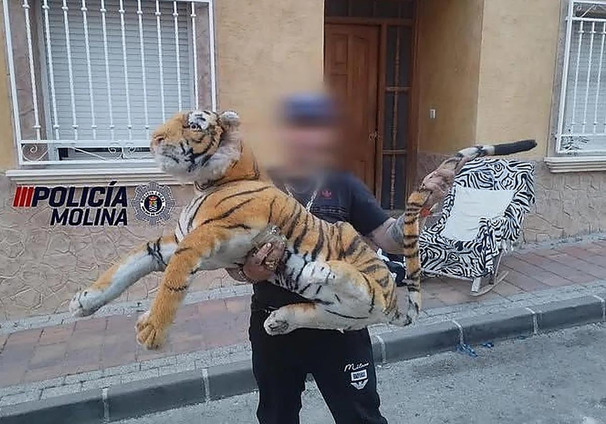 Susto en Molina de Segura al creer que había un tigre suelto en la calle