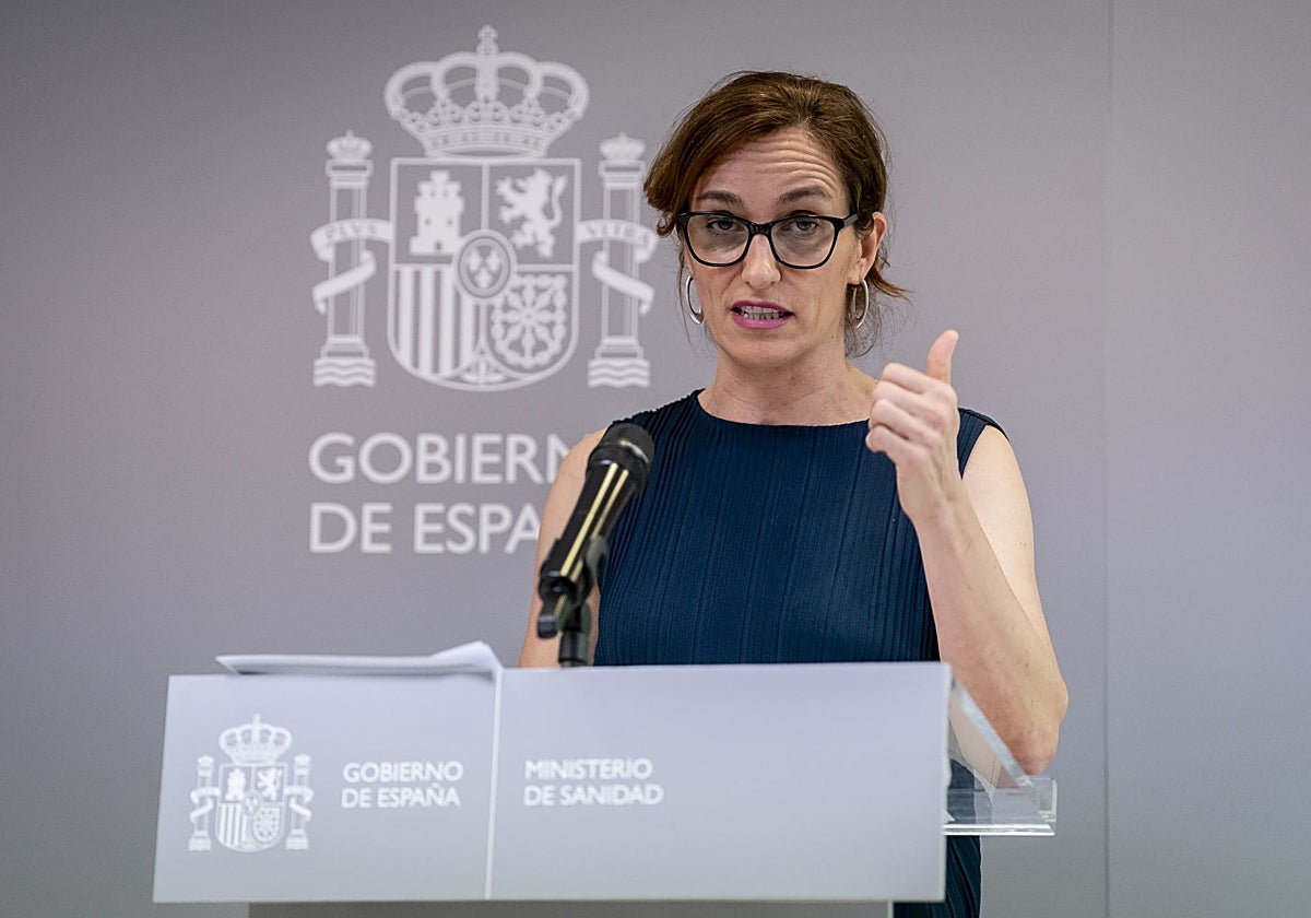 The role of the immigrant population in the Spanish healthcare system