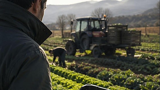 La 'marca España' que se come: el valor geopolítico de nuestra producción de alimentos