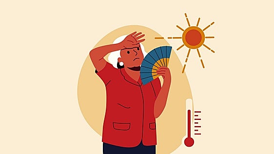 Guía práctica para sobrevivir a una ola de calor