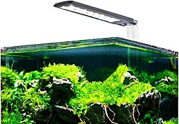 Si tienes pececillos, hazte ya con este acuario Amtra Nanotank de 60 litros