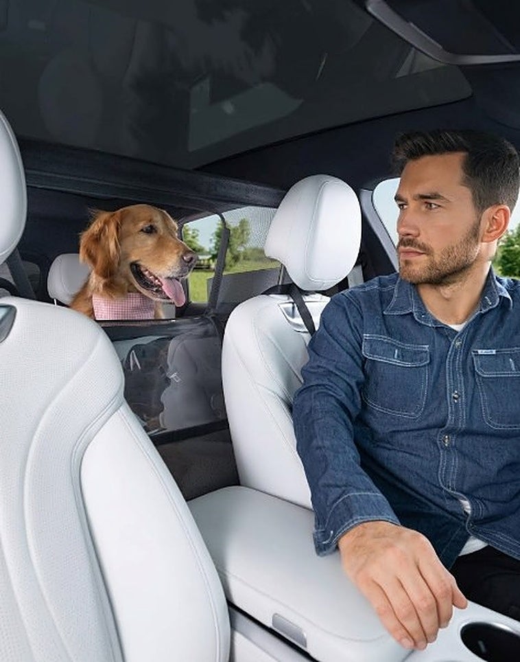 Protege tu coche y viaja con tu perro con estas fundas y rejillas separadoras para el maletero