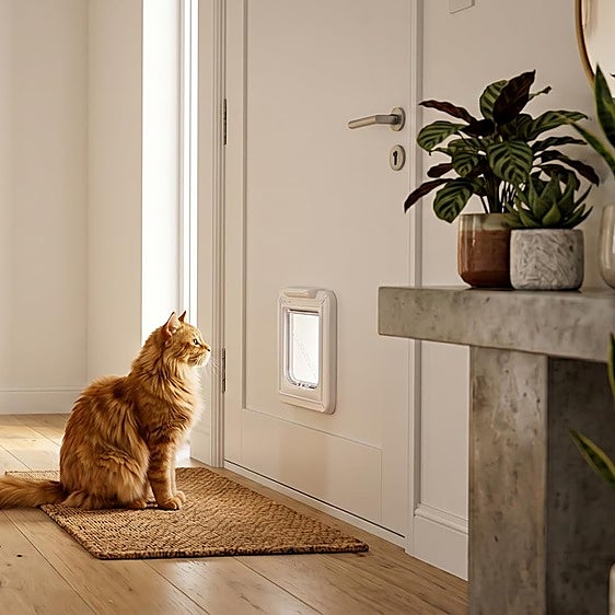 Deja que tu gato entre o salga sin riesgo con estas gateras con microchip para mascotas