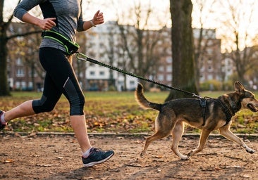 Las mejores correas manos libres para correr con tu perro libremente