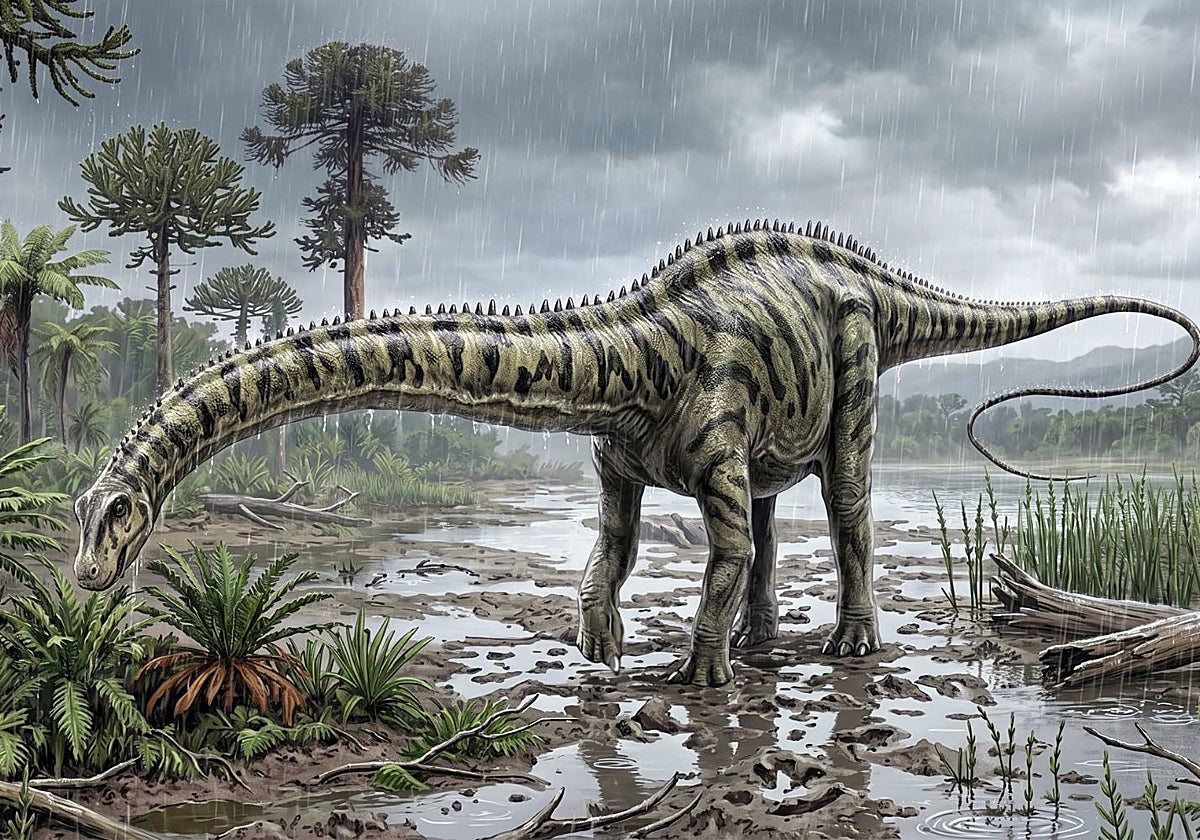Encuentran en Teruel el primer diplodocus fuera de Norteamérica