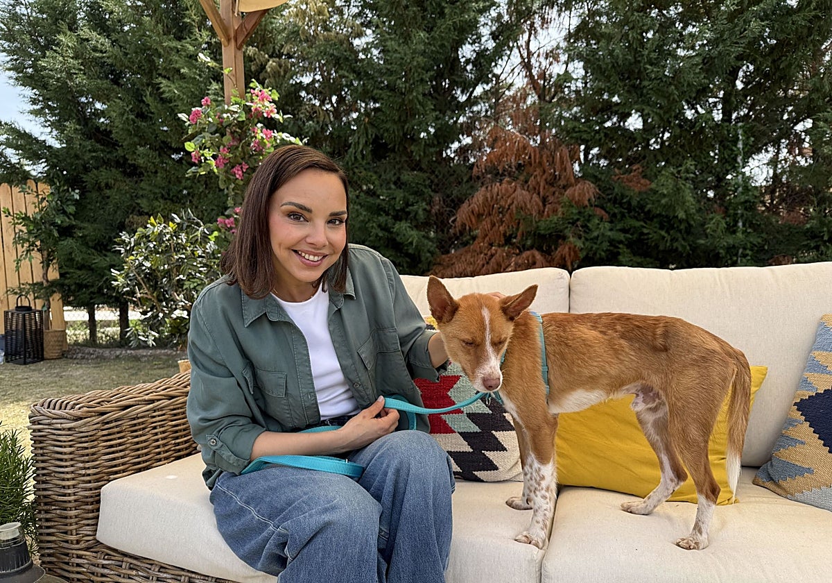 Chenoa explica la razón de ser de 'Dog House': «En España hay 300.000 abandonos de animales al año»
