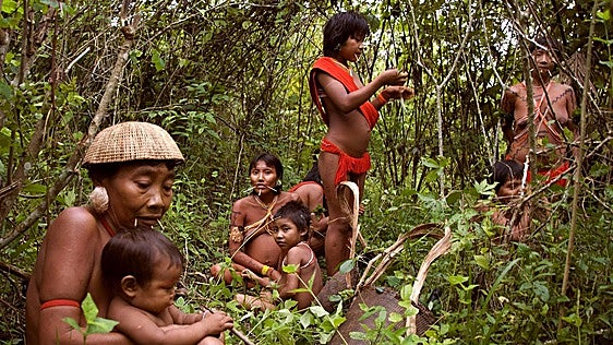 ¿Con qué sueñan los yanomami?