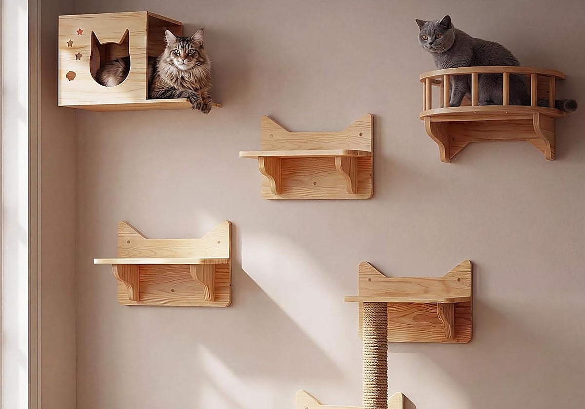 Los mejores estantes y baldas de pared para que tu gato haga ejercicio y vigile desde las alturas