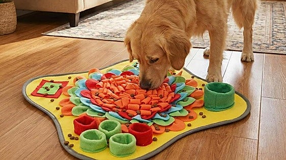 Controla la voracidad de tu perro con estas alfombrillas olfativas para una alimentación lenta