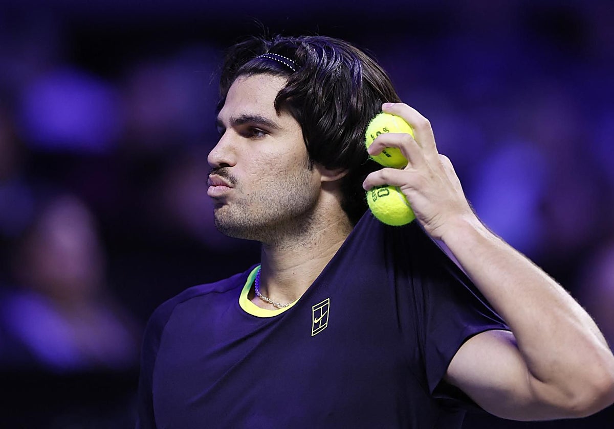Carlos Alcaraz beats Nikoloz Basilashvili in Vienna
