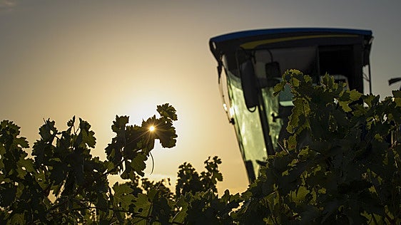 BBVA gana terreno en el negocio rural y aumenta un 84% las operaciones con pymes en un año