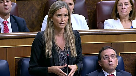 España eleva a más de 17.000 millones la inversión en redes eléctricas y activa el mercado de capacidad