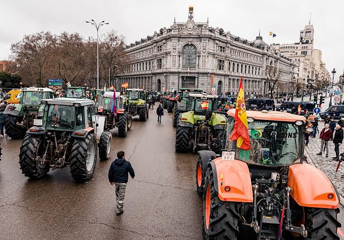 Tractores del campo colapsan hoy Madrid