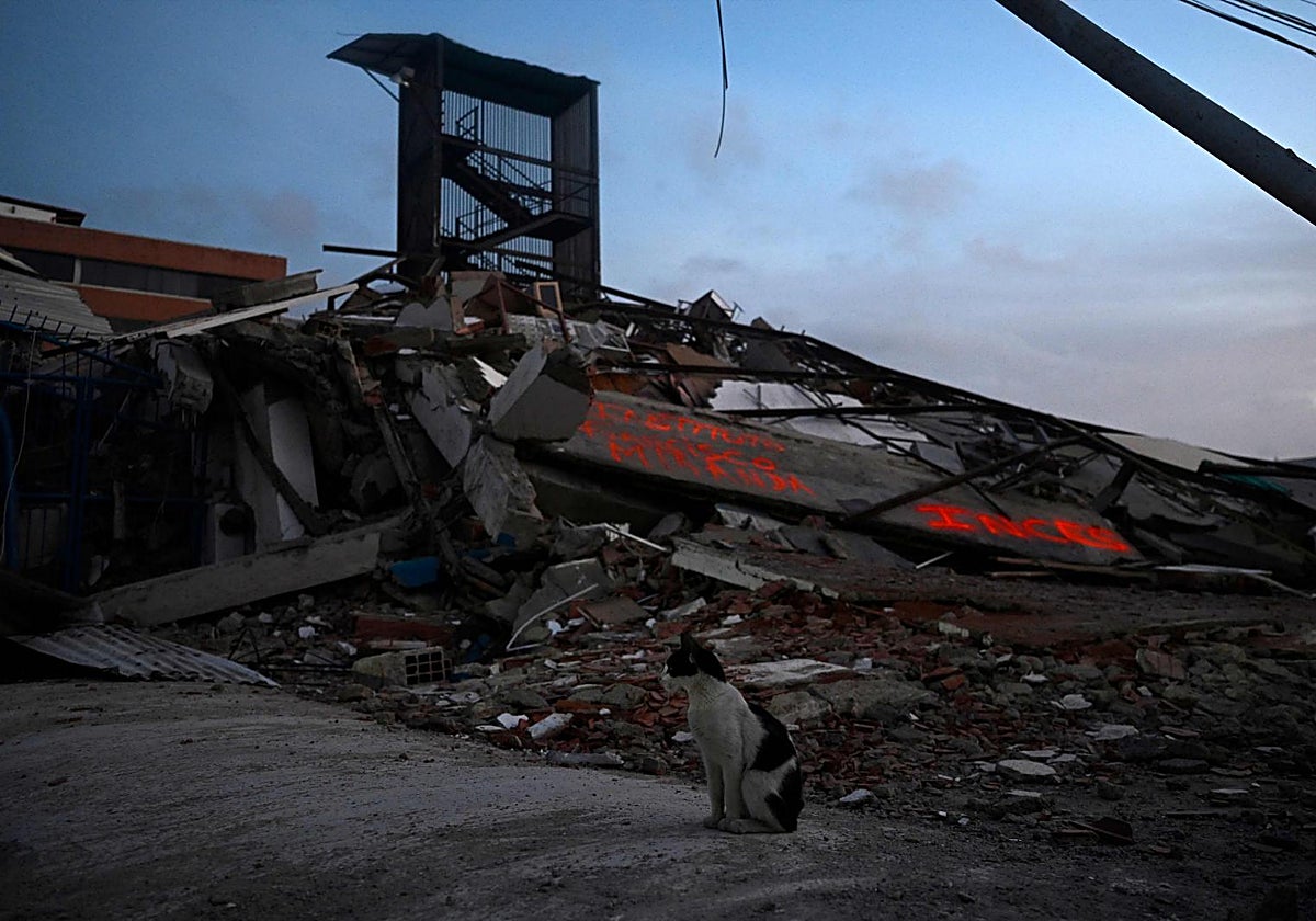 Exteriores eleva a 27 los españoles fallecidos en los terremotos de Venezuela