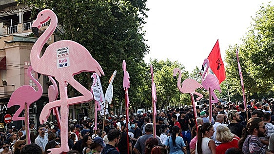 La revolución de los flamencos: Albania se levanta contra el resort de lujo de los Trump