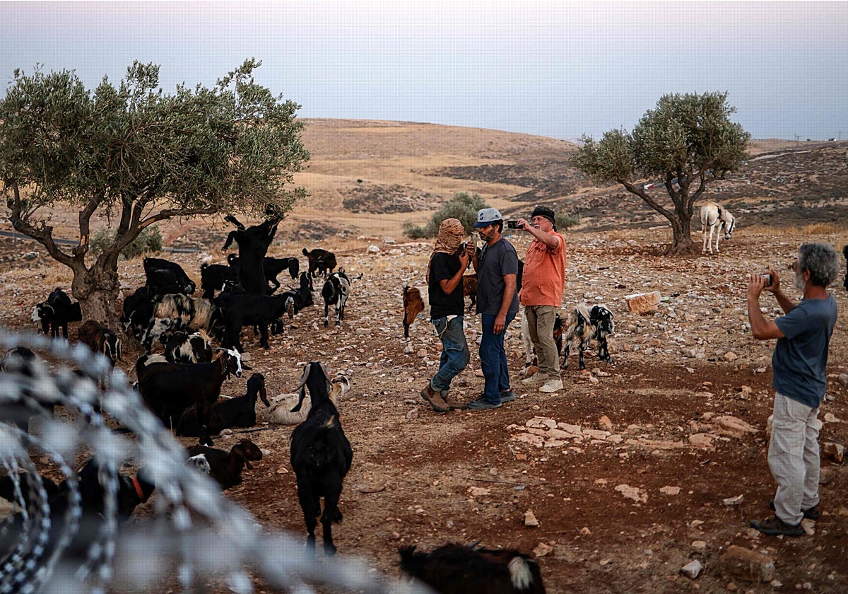 España, otros diez países europeos y Canadá vetan los productos de los colonos israelíes