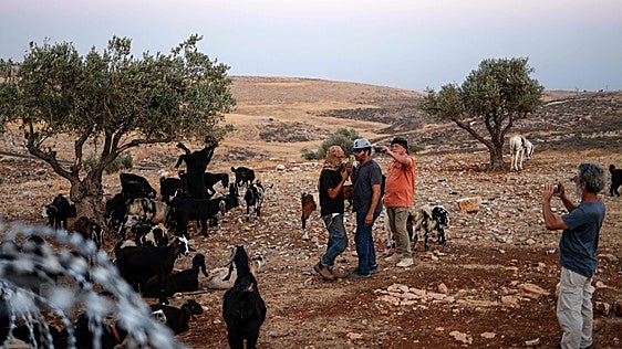 España, otros diez países europeos y Canadá vetan los productos de los colonos israelíes