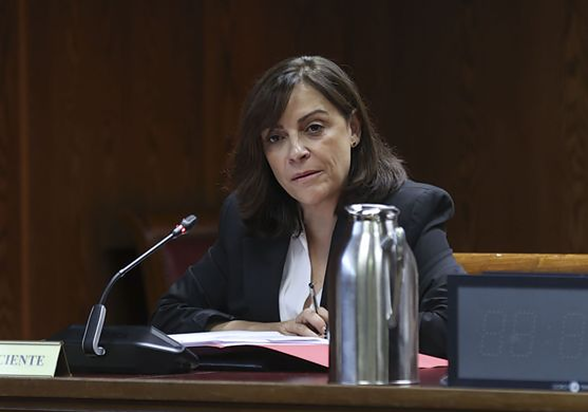 Ana María Fuentes en la comisión de investigación del Senado
