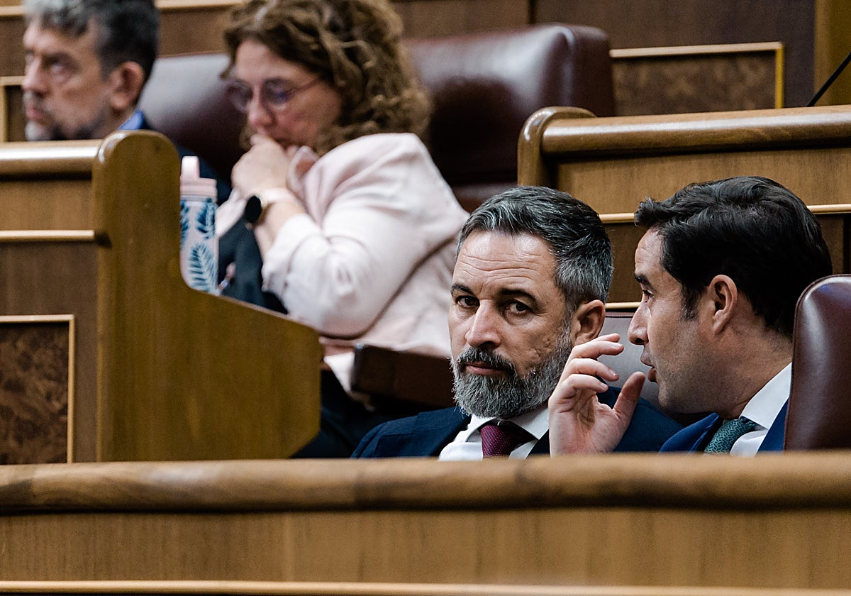 Vox insiste con la 'ley de nietos' y recurrirá en el Supremo la resolución de la JEC